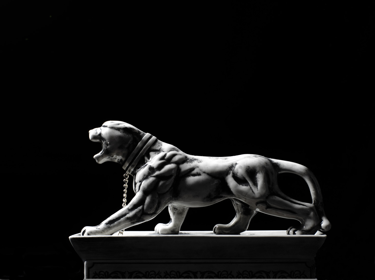 Panther_0016copy
